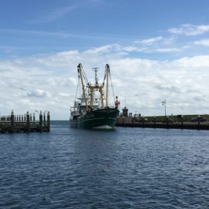 Vissersboot vaart de haven van Oudeschild binnen